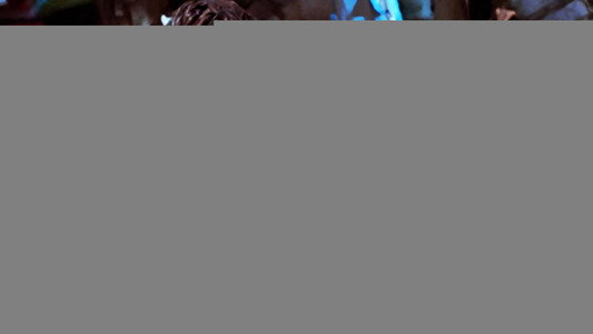 Buffy the Vampire Slayer