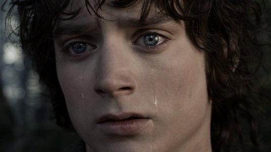 The Lord of the Rings: The Fellowship of the Ring