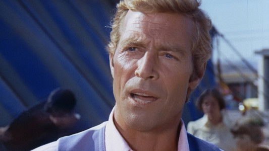 The Amazing Dobermans