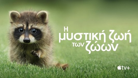 The Secret Lives of Animals