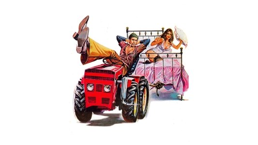 Il bisbetico domato