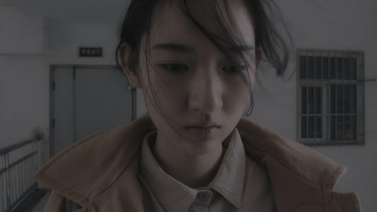大象席地而坐