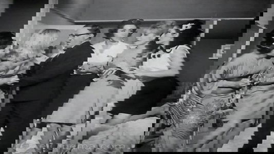 مطاردة غرامية
