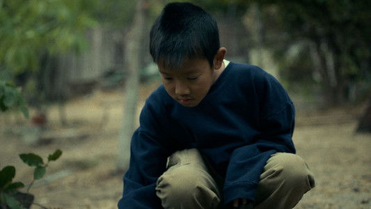 Forever is a Delicate Thing