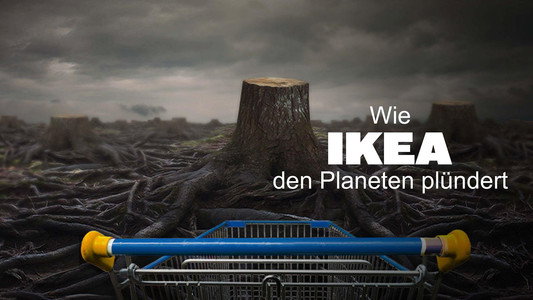 Ikea, le seigneur des forêts