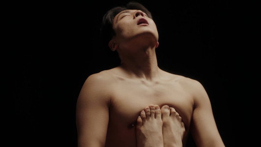 테라피
