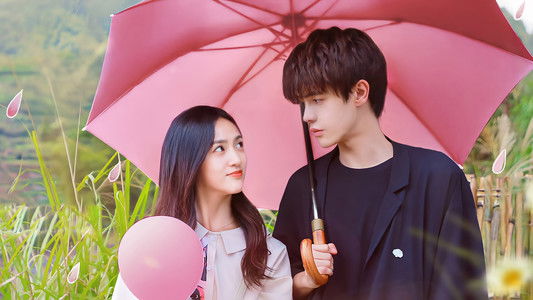 何加加的桃花源记