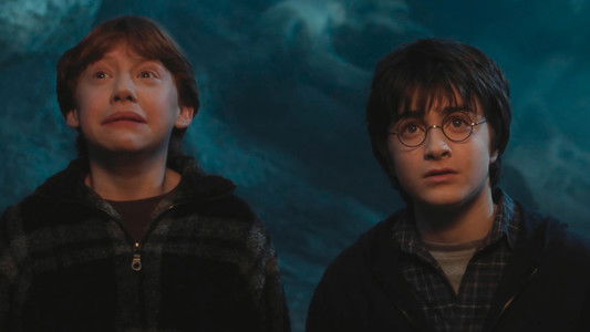 Harry Potter and the Chamber of Secrets