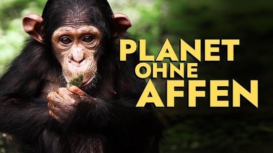 Planet ohne Affen