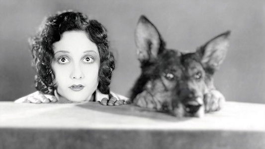 Where the North Begins