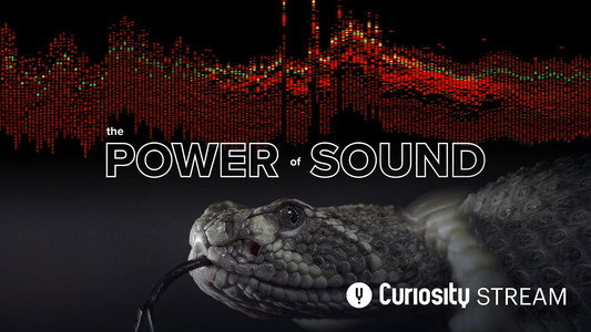 The Power of Sound