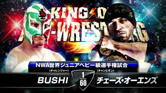 NJPW King of Pro-Wrestling 2014