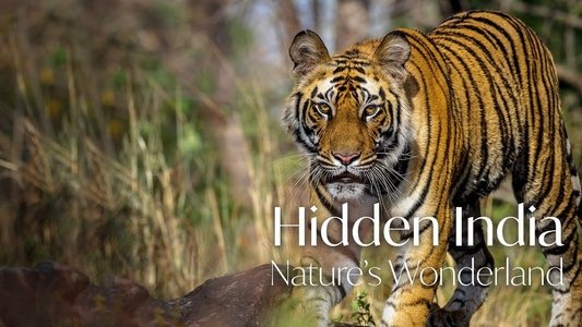 Hidden India