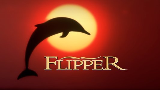 Flipper