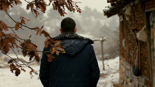 Ahlat Ağacı