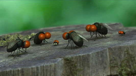 Minuscule - La Vallée des fourmis perdues