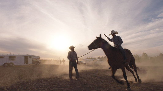 The Cowboy