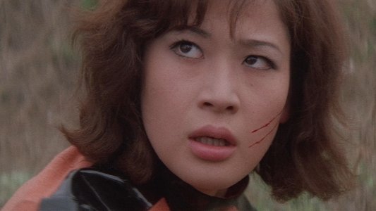 女番長　野良猫ロック