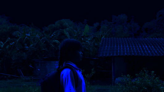 เดินกลับบ้าน