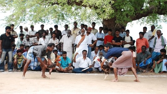 ஆடுகளம்