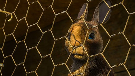 Watership Down