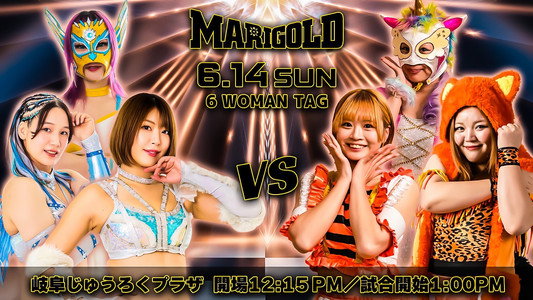 Marigold Shining Attack 2026 ~ Day 13