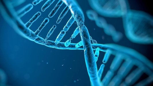 Naked Science: Evolution