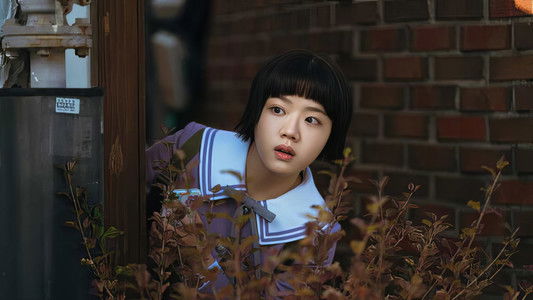 로맨스의 절댓값