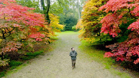 The Secret Life of Trees