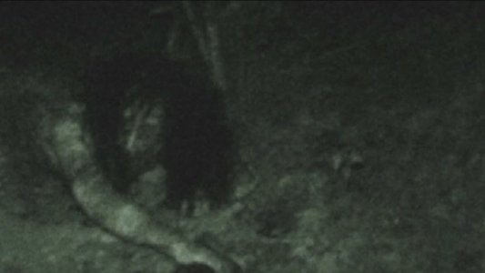 戦慄怪奇ファイル コワすぎ！ FILE-03 人喰い河童伝説