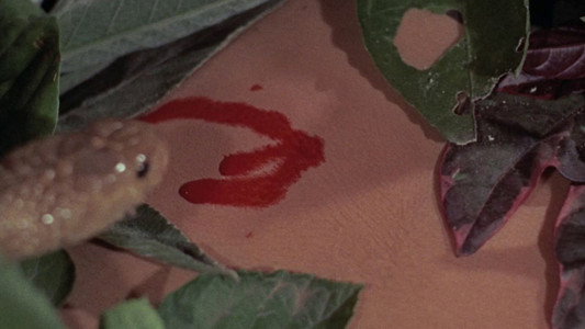 Night of the Cobra Woman