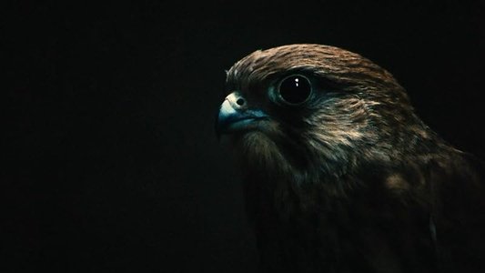 Kes