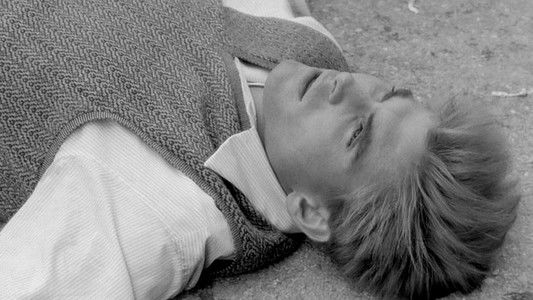 Prima della rivoluzione