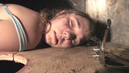 Megan Is Missing