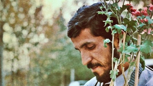 کلوزآپ ، نمای نزدیک