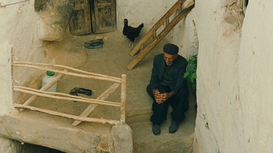 باد ما را خواهد برد