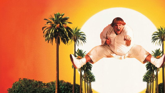 Beverly Hills Ninja