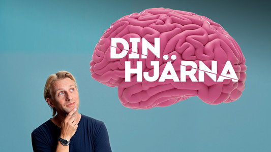 Din hjärna
