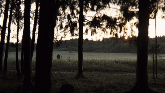 Зеркало