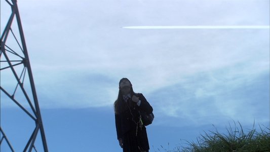 リリイ・シュシュのすべて