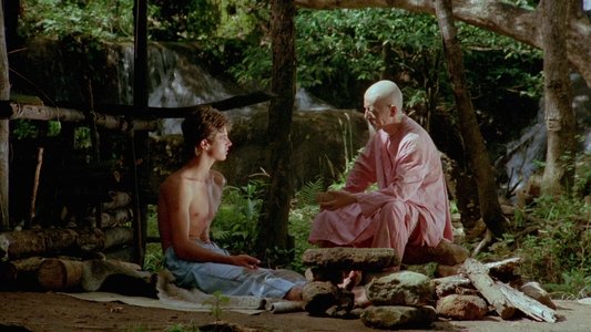 Il ragazzo dal kimono d'oro