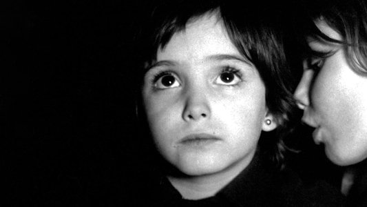 El espíritu de la colmena