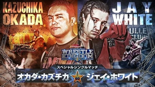 NJPW Wrestle Kingdom 13