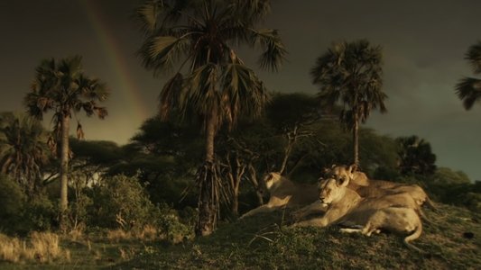 Katavi Africa's Fallen Paradise