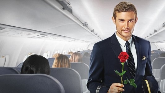 The Bachelor