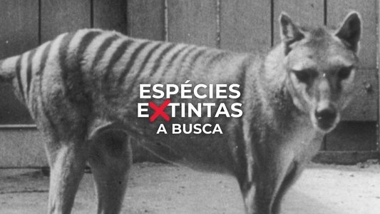 Extinct or Alive: The Tasmanian Tiger