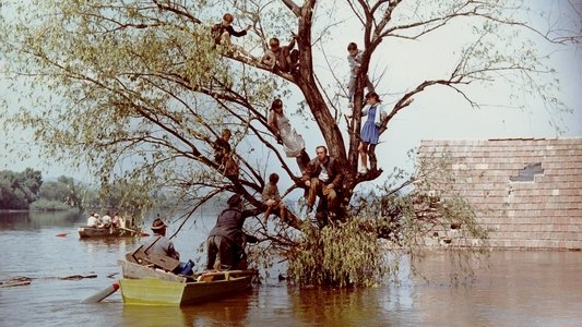 A tanú