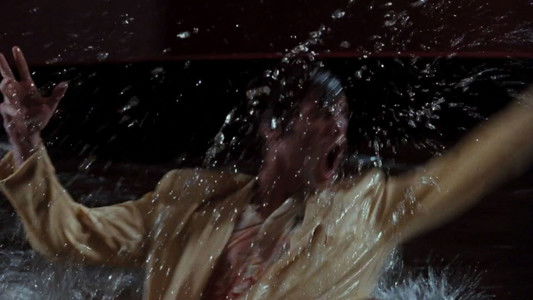 Ace Ventura: Pet Detective