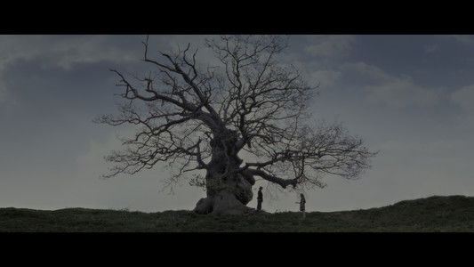 Harry Potter and the Deathly Hallows: Part 2