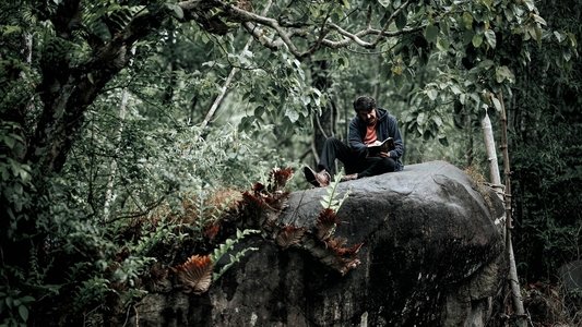 റോഷാക്ക്